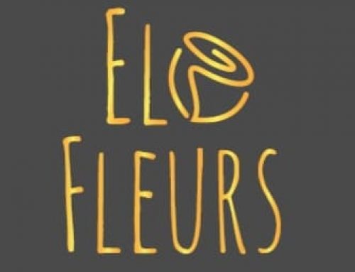 « Nos Exposants ont du Talent » – ELO FLEURS